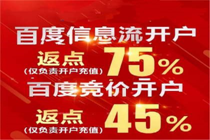 案例分析：百度竞价托管助力行业龙头